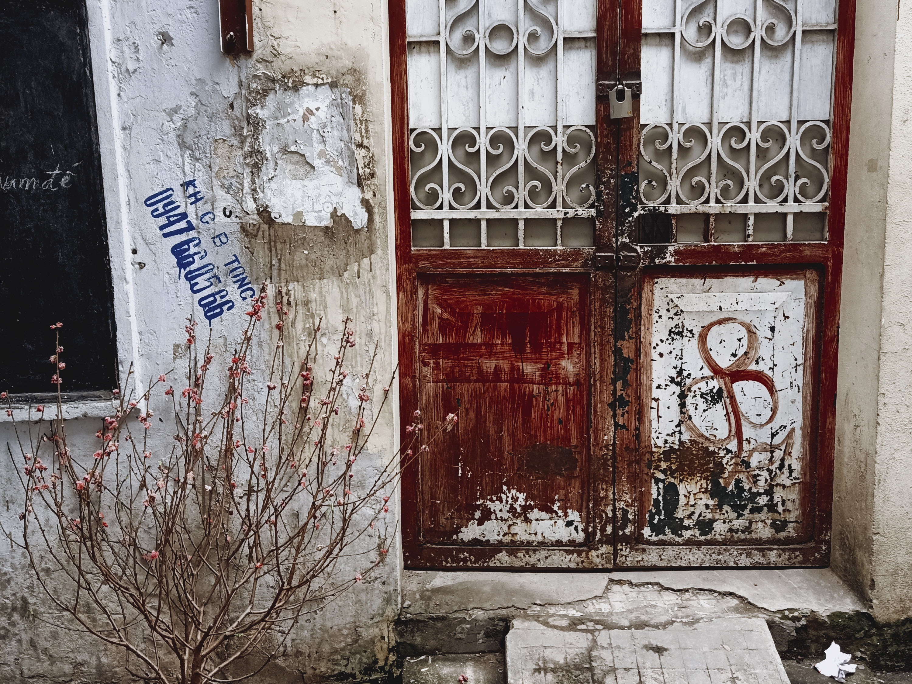 về nhà đón Tết ảnh 13 ve nha don Tet anh 13