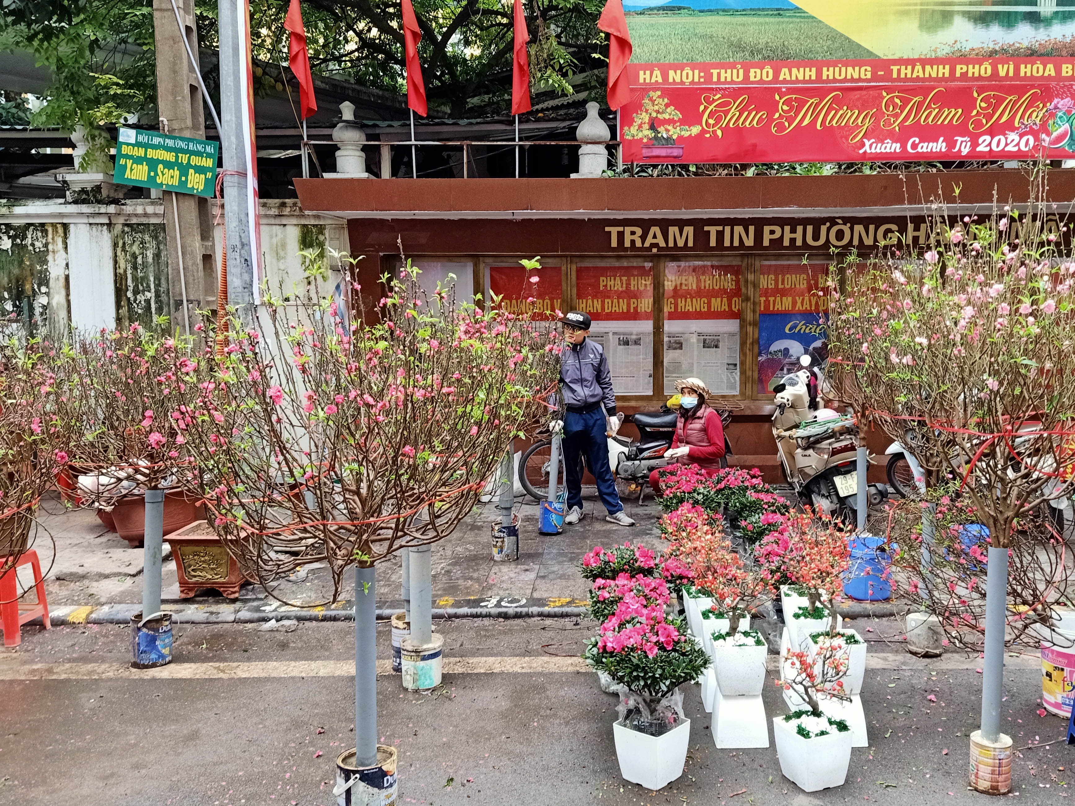 về nhà đón Tết ảnh 3 ve nha don Tet anh 3