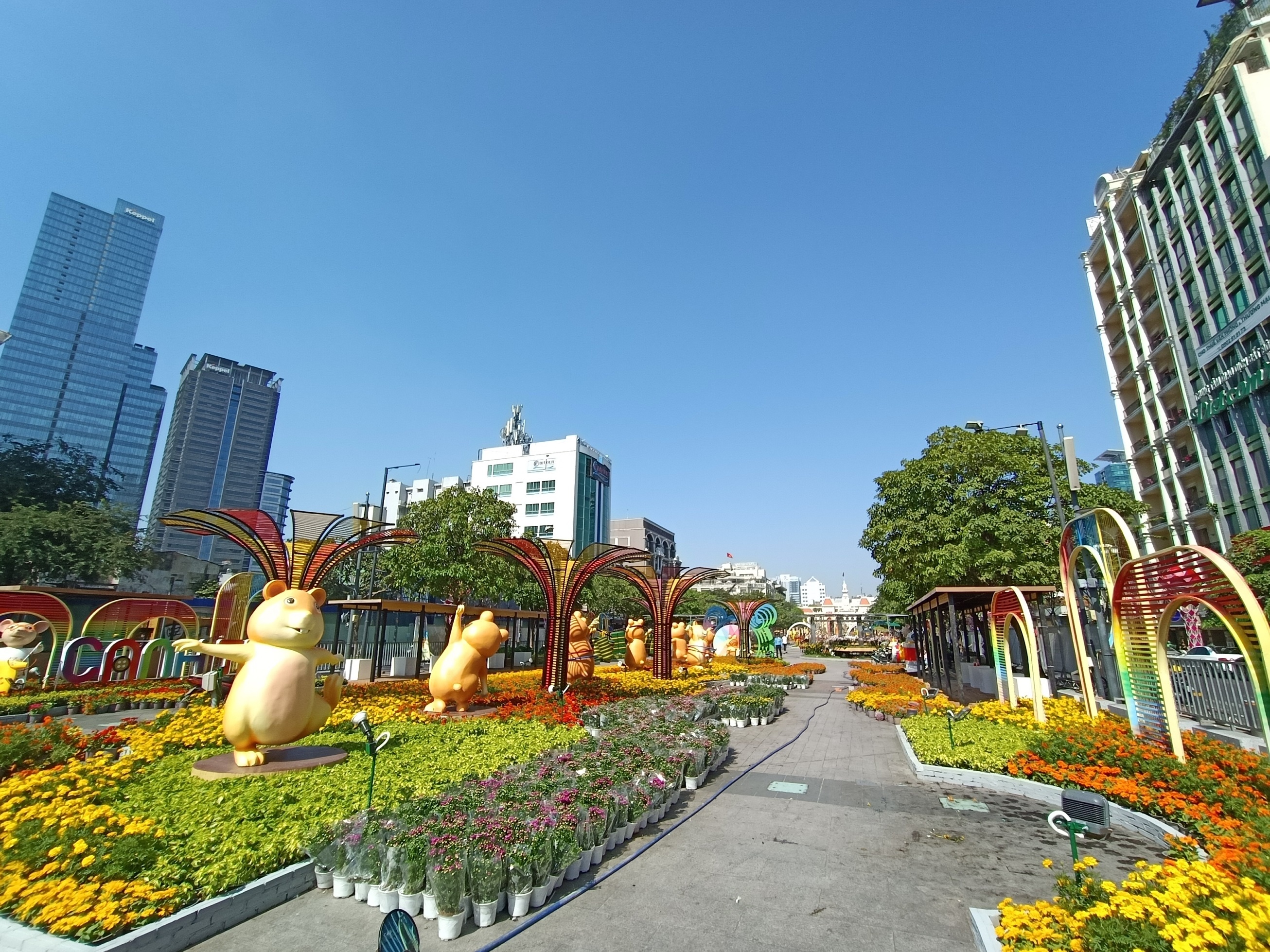 về nhà đón Tết ảnh 11 ve nha don Tet anh 11