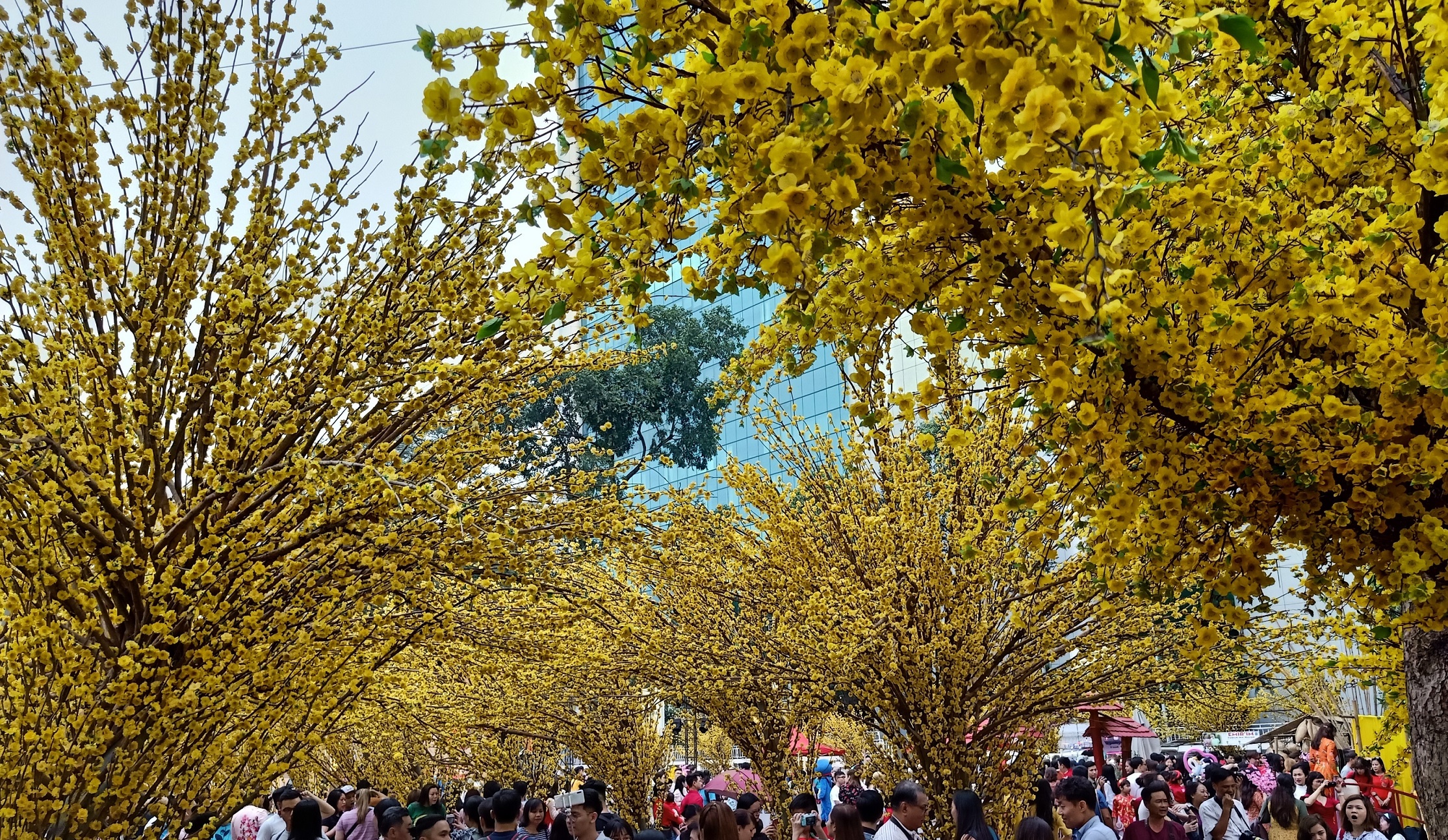 về nhà đón Tết ảnh 2 ve nha don Tet anh 2