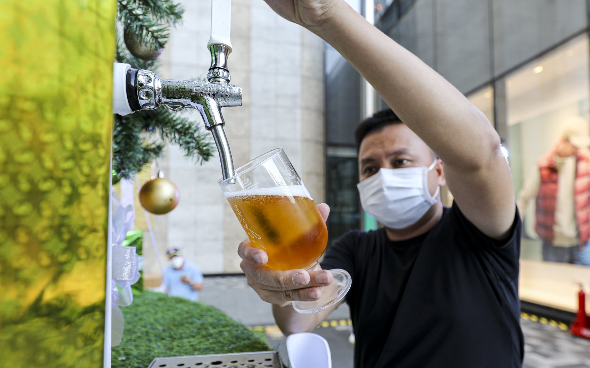 cây thông bia tươi ảnh 6 cay thong bia tuoi anh 6