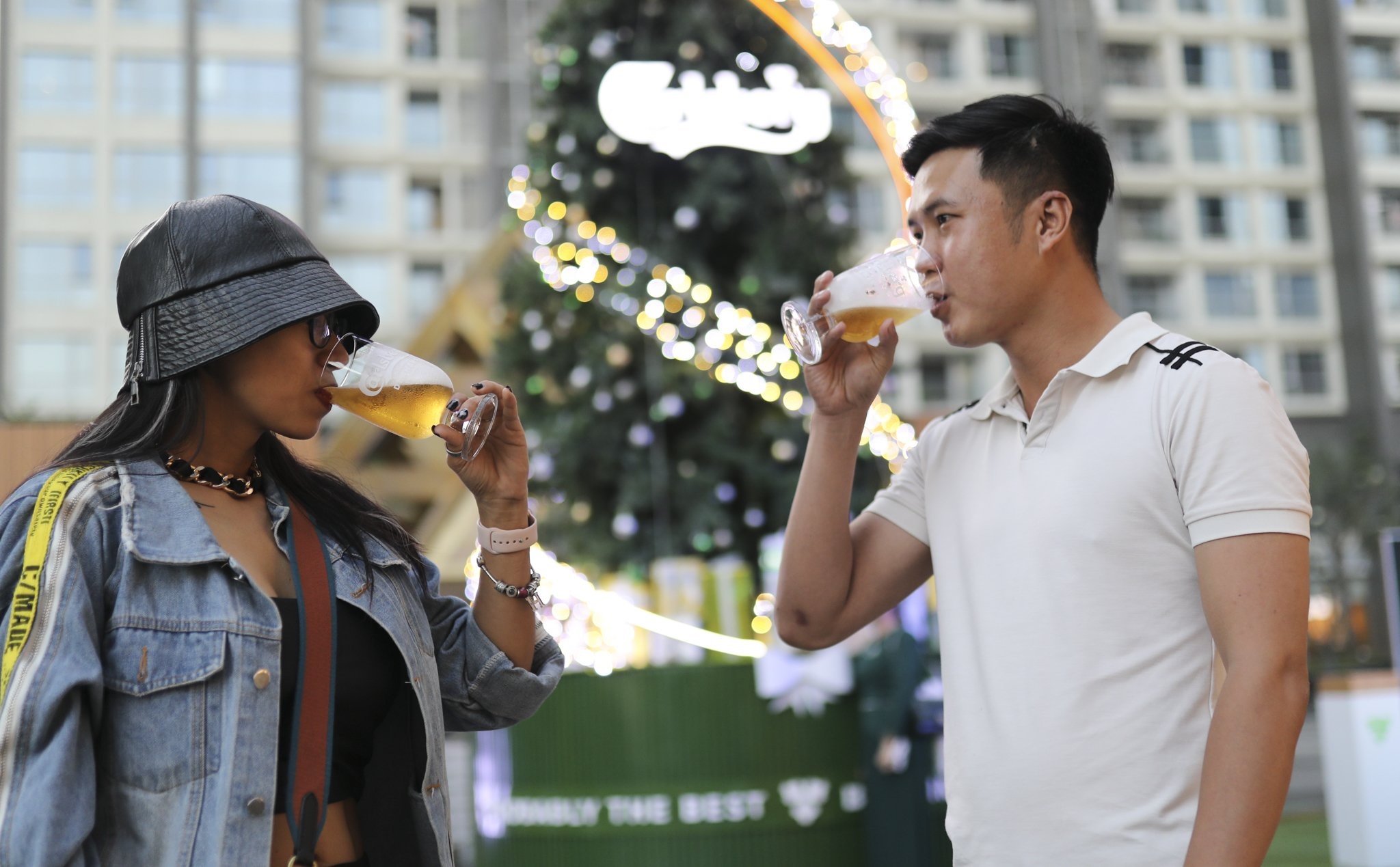 cây thông bia tươi ảnh 8 cay thong bia tuoi anh 8