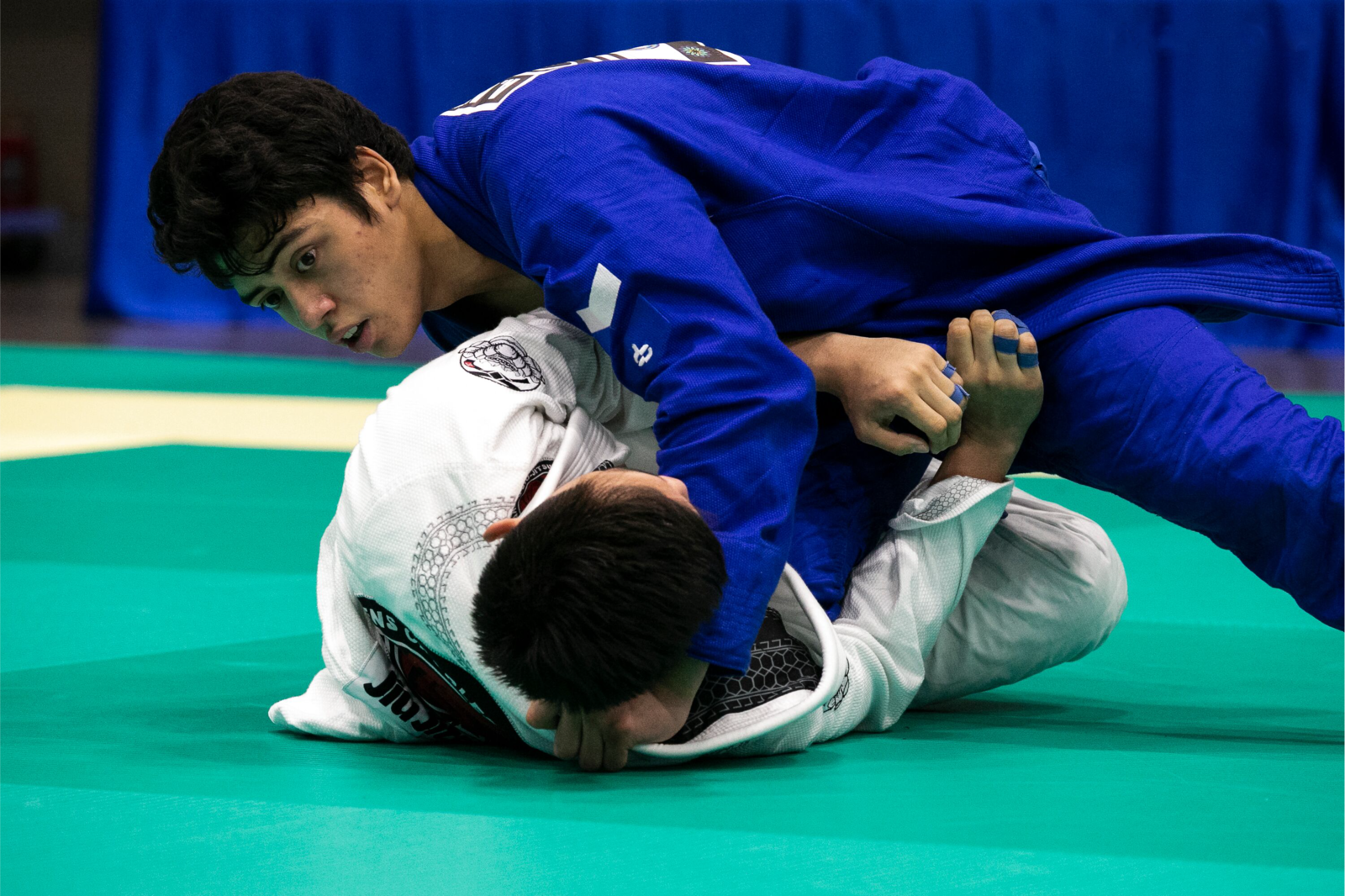 Vitatree Glucosamine 1500 plus Shark Cartilage anh 5