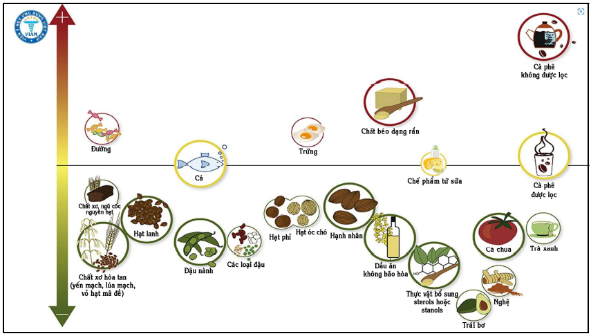 thuc trang thua cholesterol anh 3