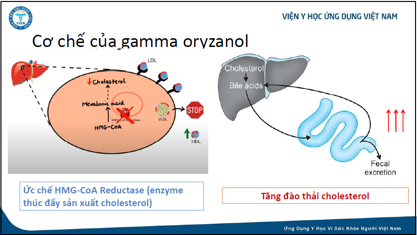 tinh trang thua cholesterol anh 2