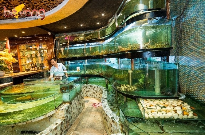 Nha hang Be Vang anh 2