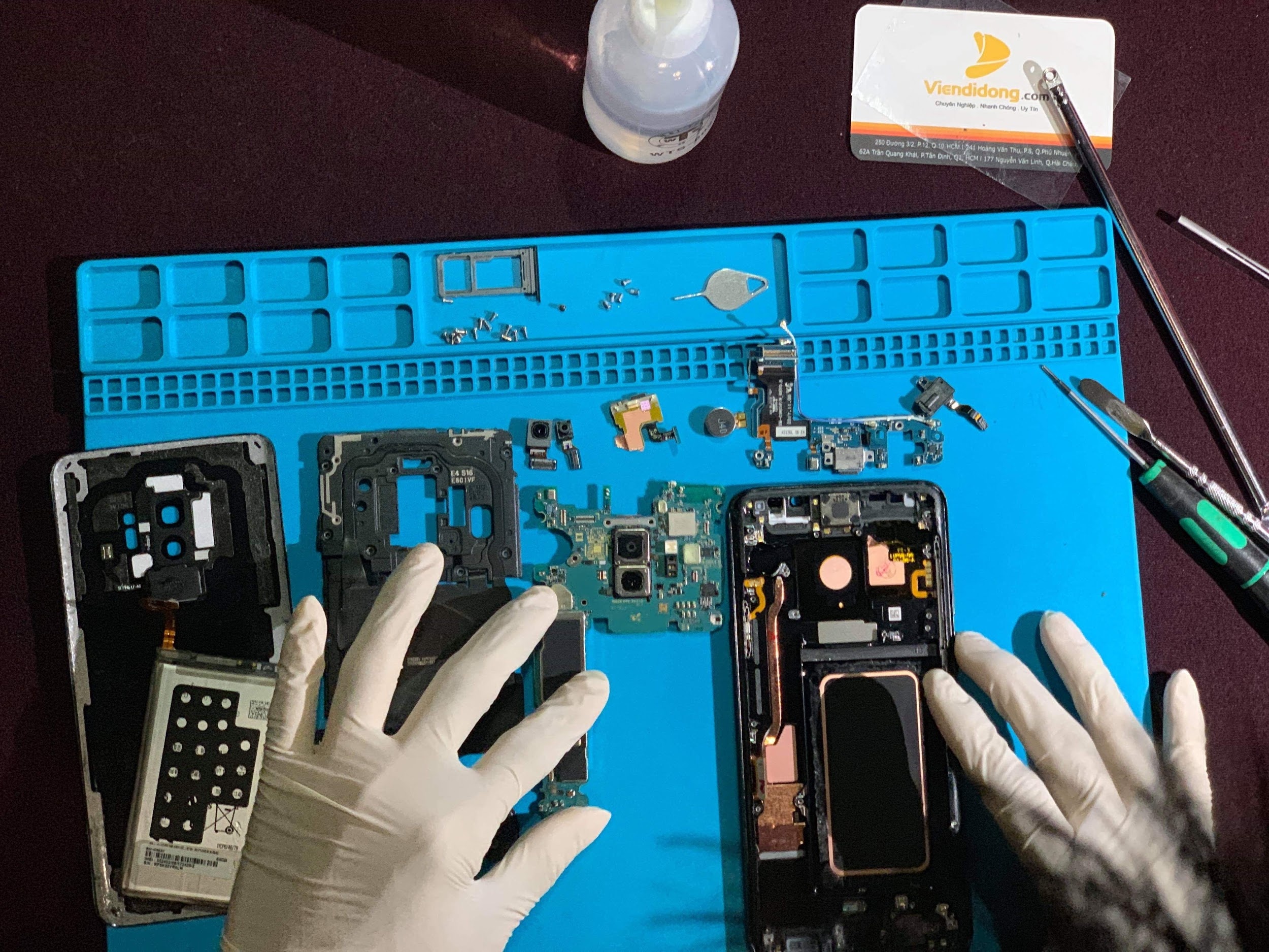 Di Dong Viet,  Vien Di Dong,  Viruss anh 4