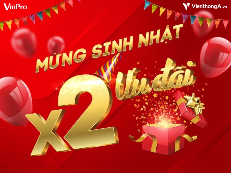 Vingroup,  VinPro anh 1