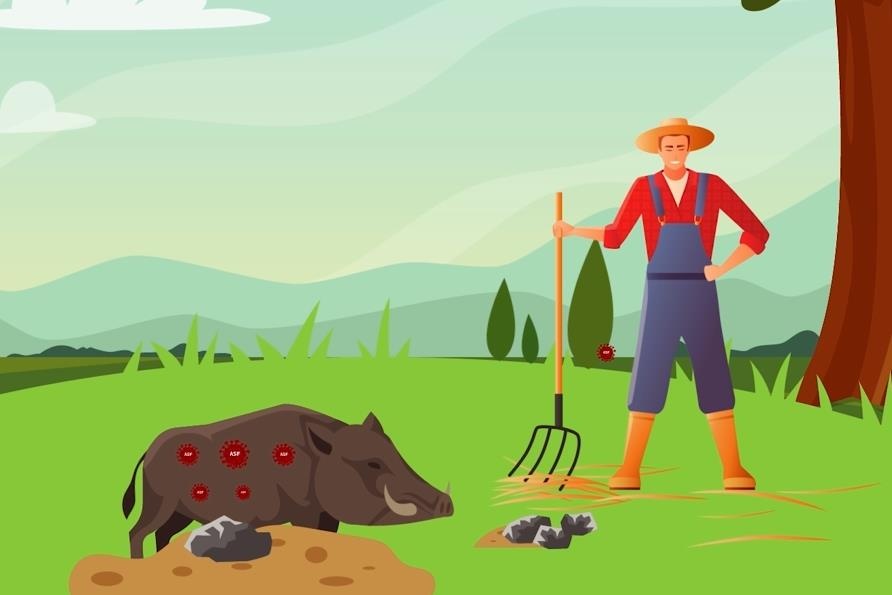 Nhung dieu can biet ve dich ta lon chau Phi hinh anh