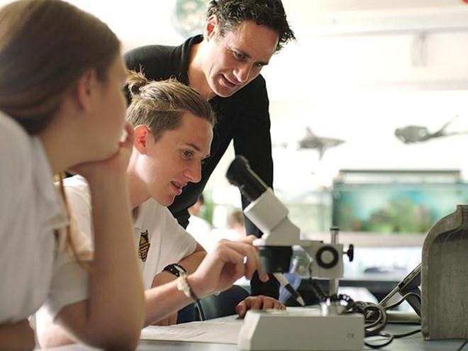 du hoc New Zealand anh 3