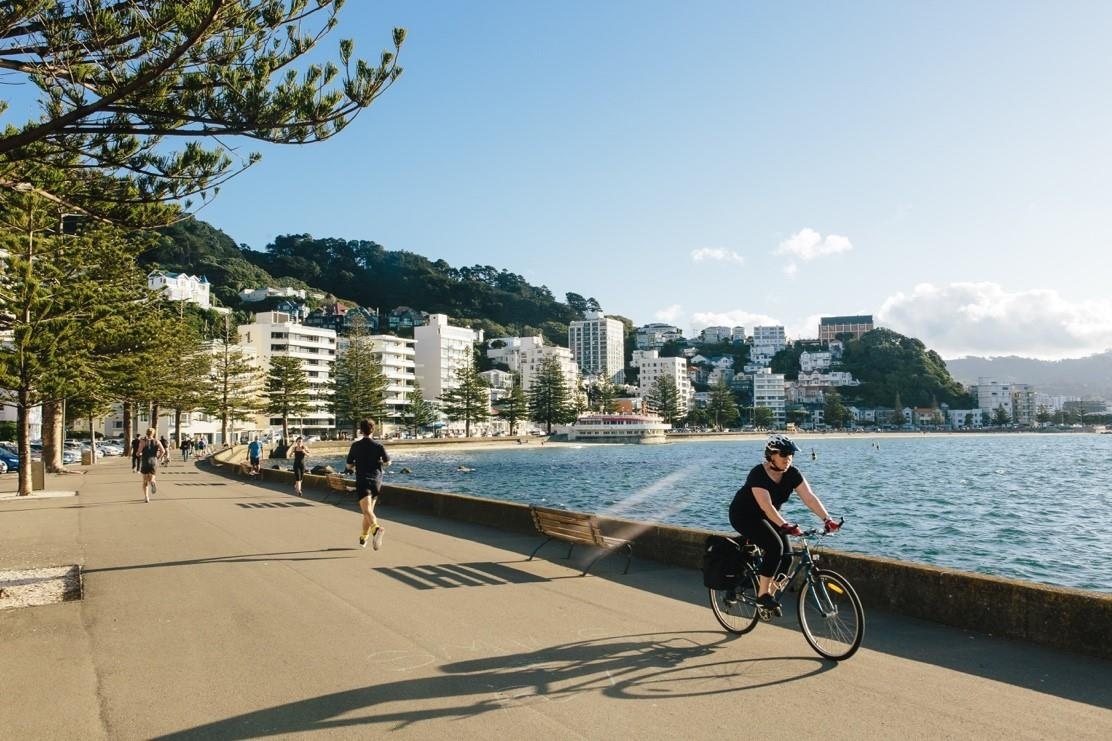 du hoc New Zealand anh 4