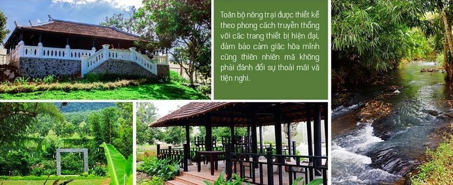 Greenfarm ảnh 9 Greenfarm anh 9