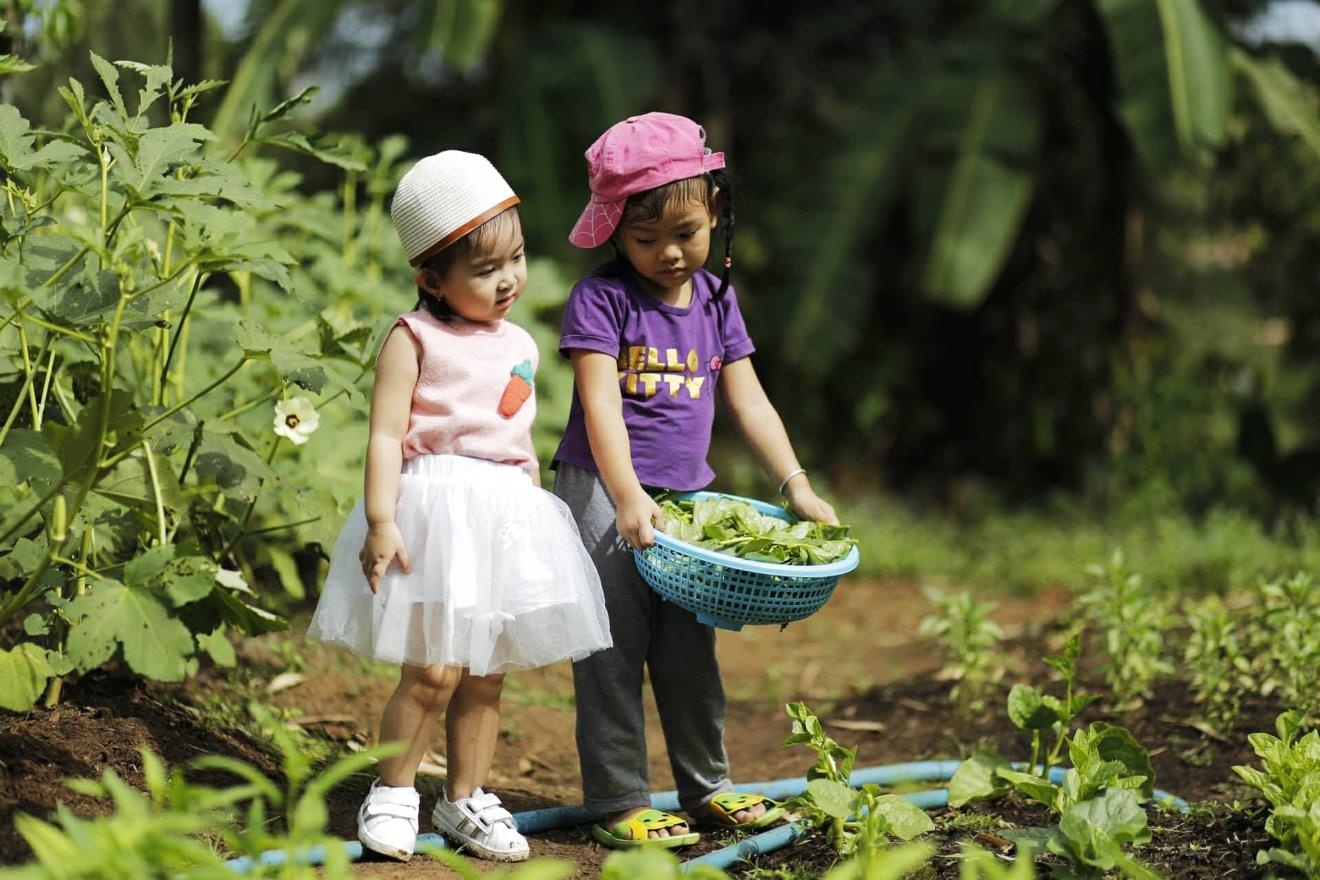 Greenfarm ảnh 8 Greenfarm anh 8