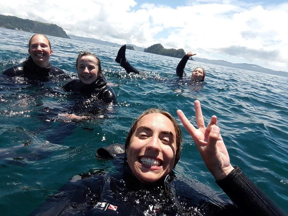 du hoc,  New Zealand,  giáo dục ảnh 1 du hoc,  New Zealand,  giao duc anh 1