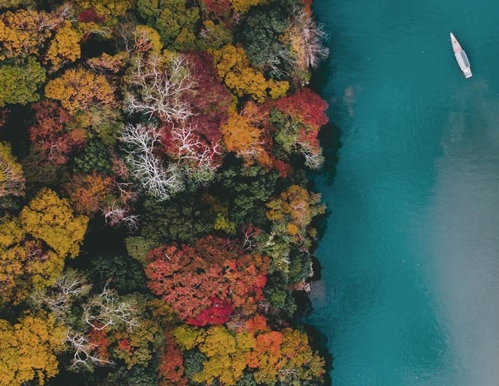 Samsung ảnh 2 Samsung anh 2