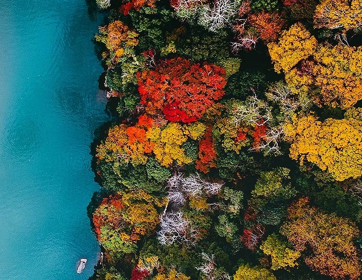 Samsung ảnh 3 Samsung anh 3