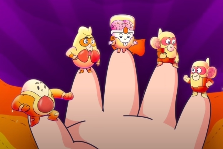 Video - Cach phong ngua cac benh ly do phe cau khuan gay ra hinh anh