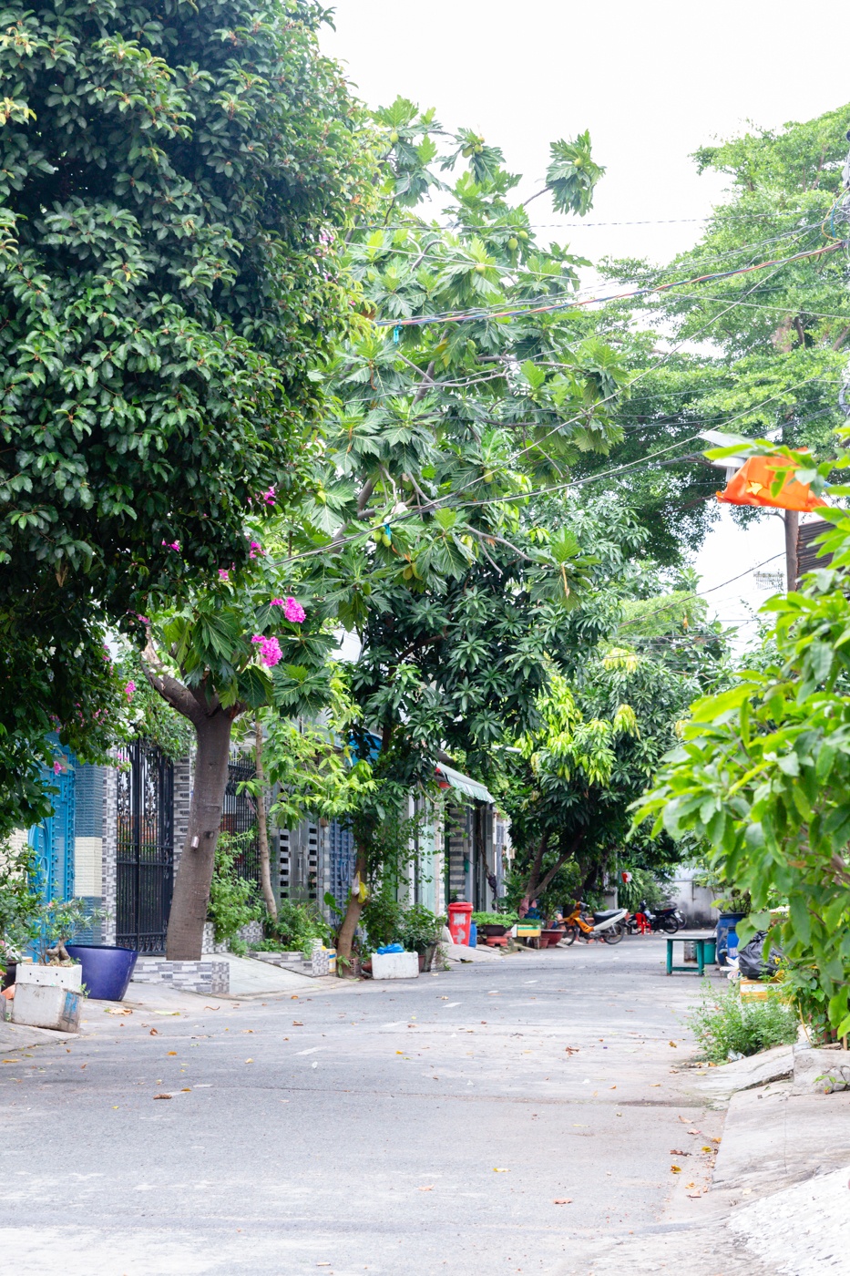 TPBank ảnh 18 TPBank anh 18