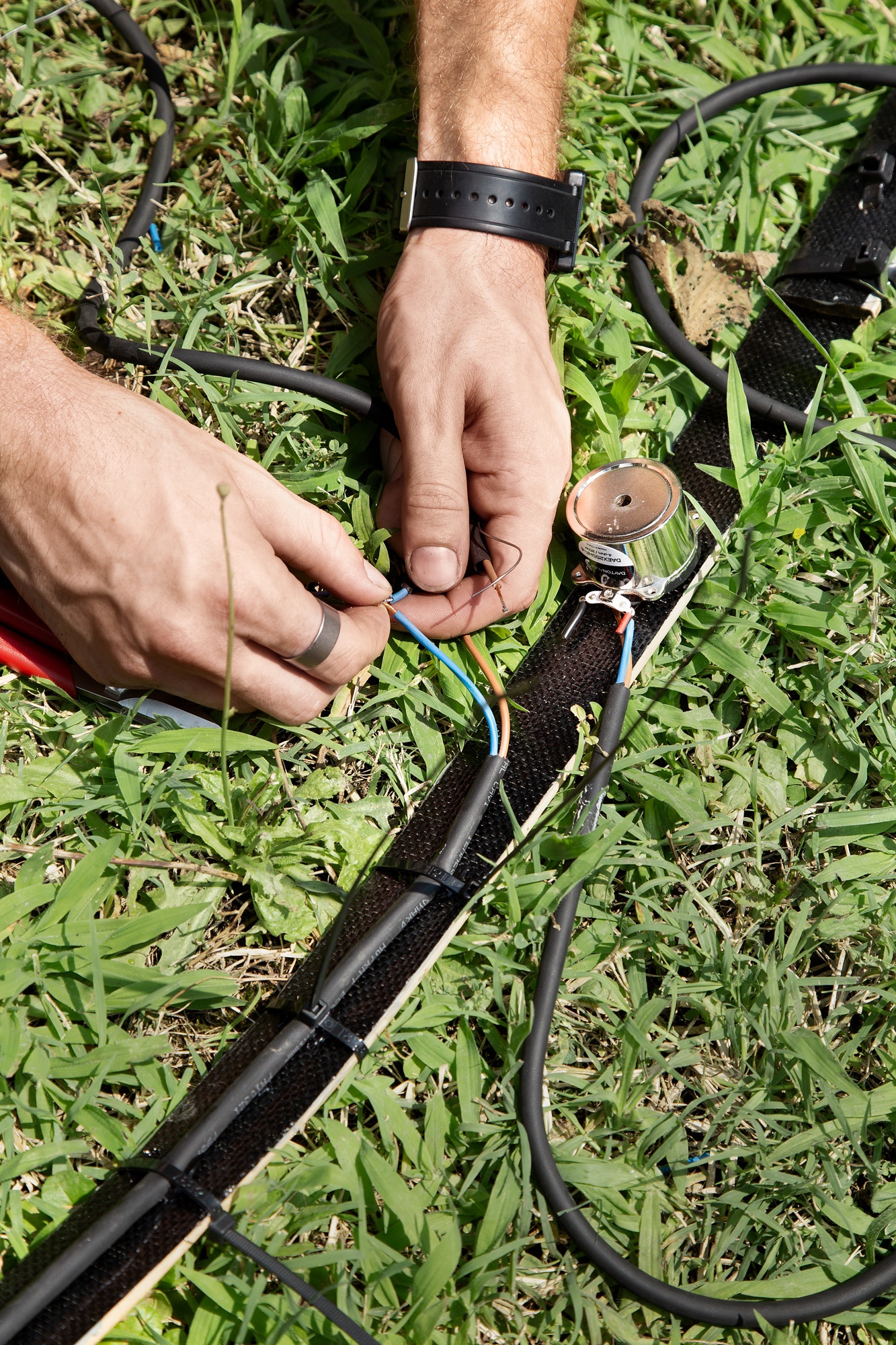 Oppo, Bamboo (竹) Ring :|| ảnh 4 Oppo, Bamboo (竹) Ring :|| anh 4