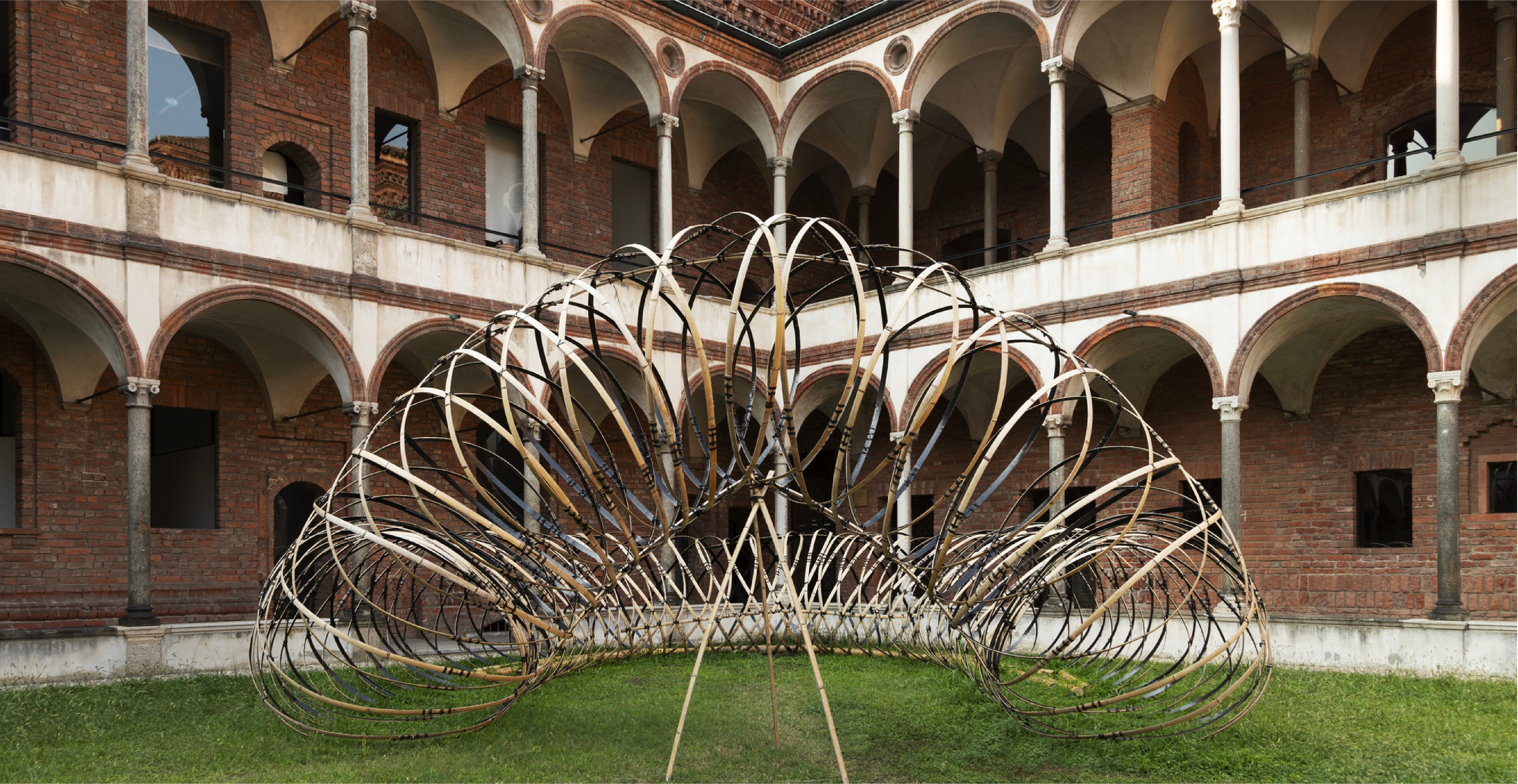 Oppo,  Bamboo (竹) Ring :|| anh 1