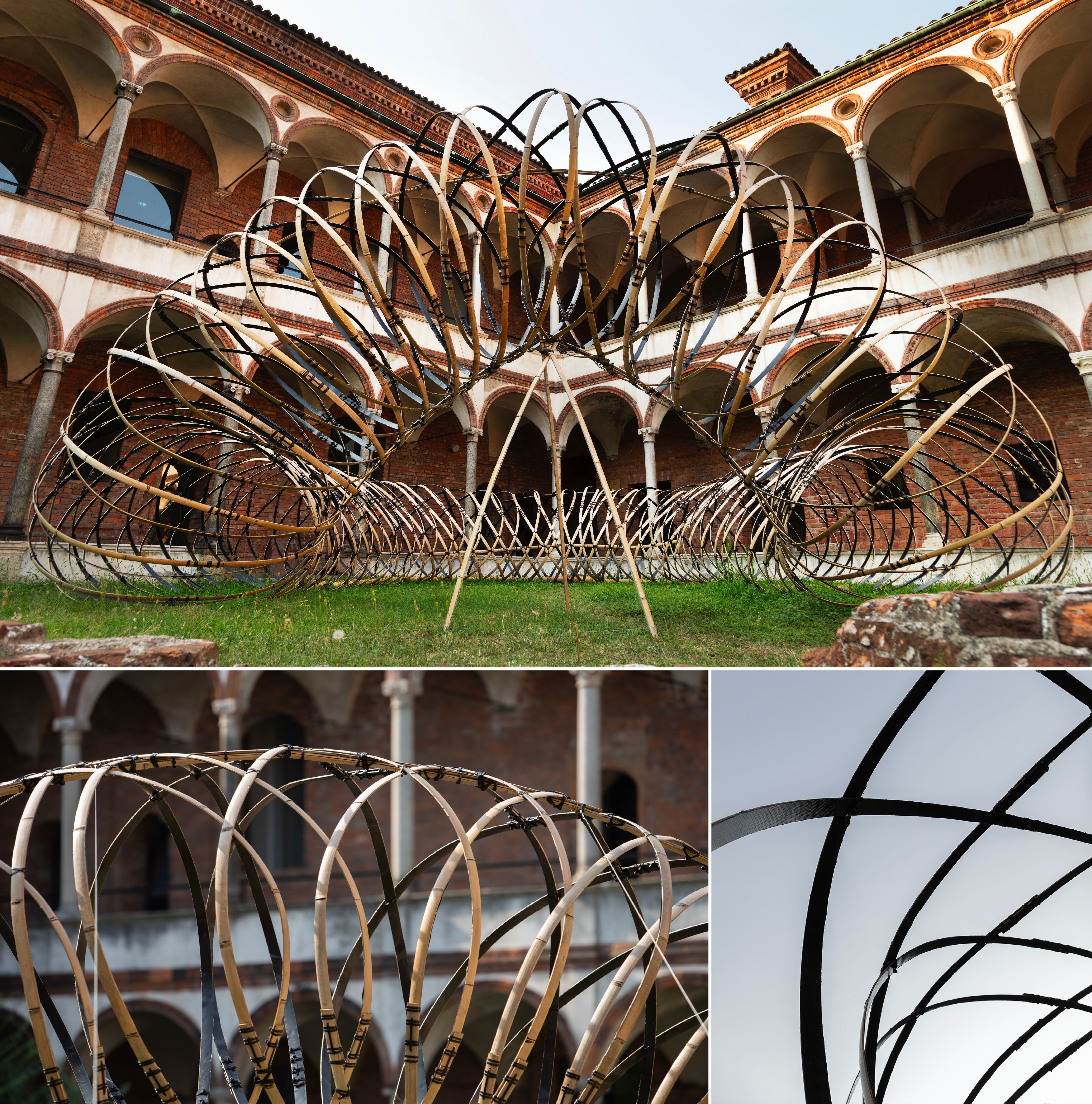 Oppo,  Bamboo (竹) Ring :|| anh 7