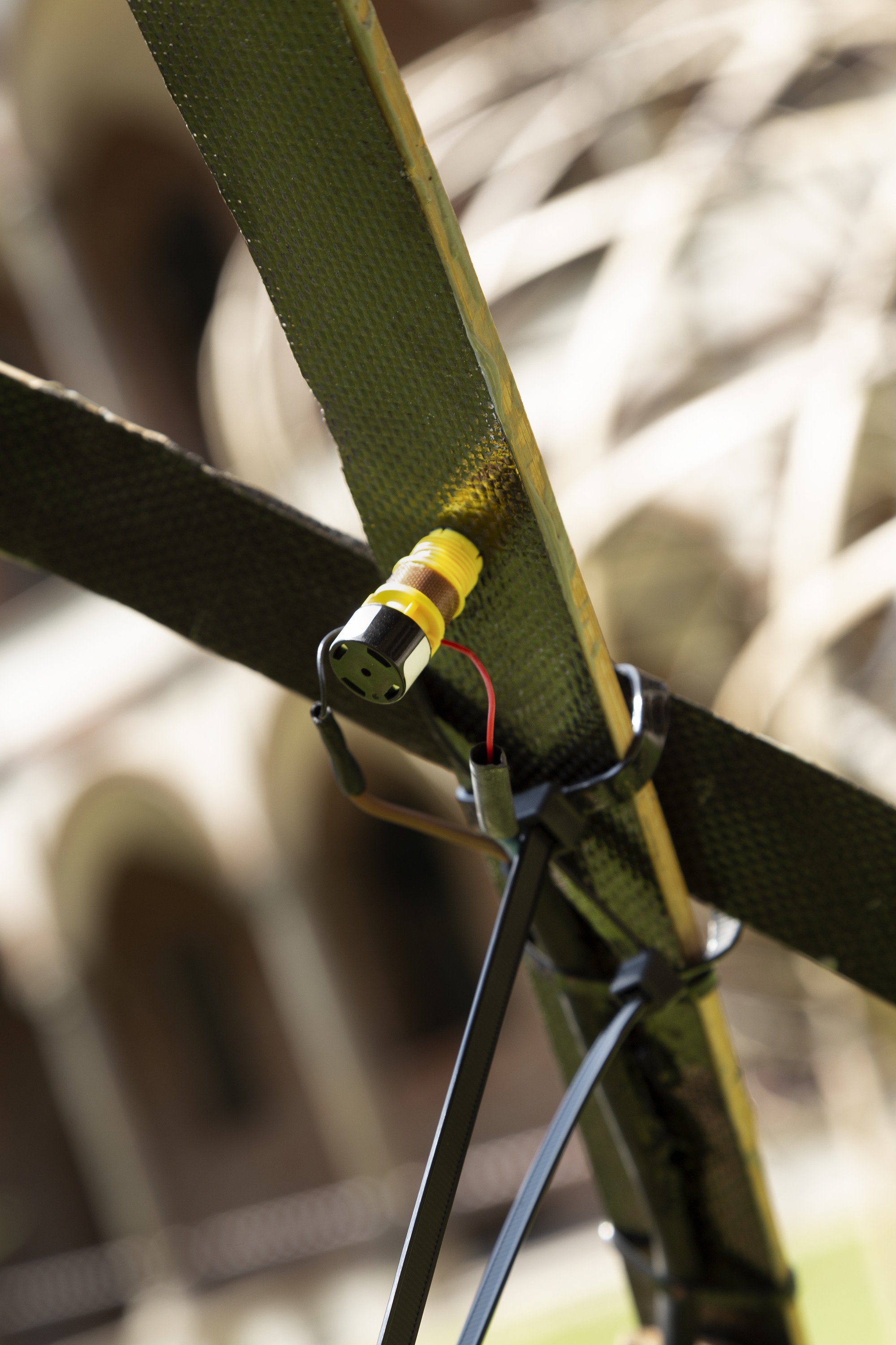 Oppo, Bamboo (竹) Ring :|| ảnh 6 Oppo, Bamboo (竹) Ring :|| anh 6