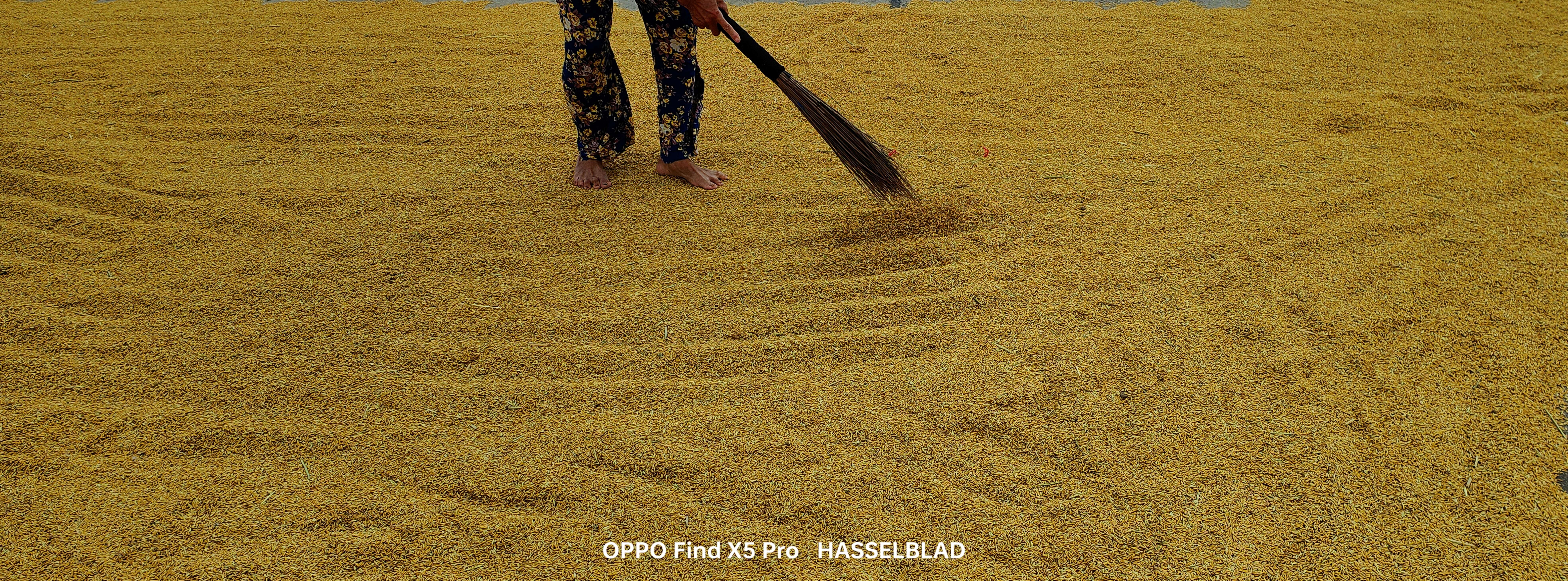 Oppo, Find X5 Pro ảnh 4 Oppo, Find X5 Pro anh 4