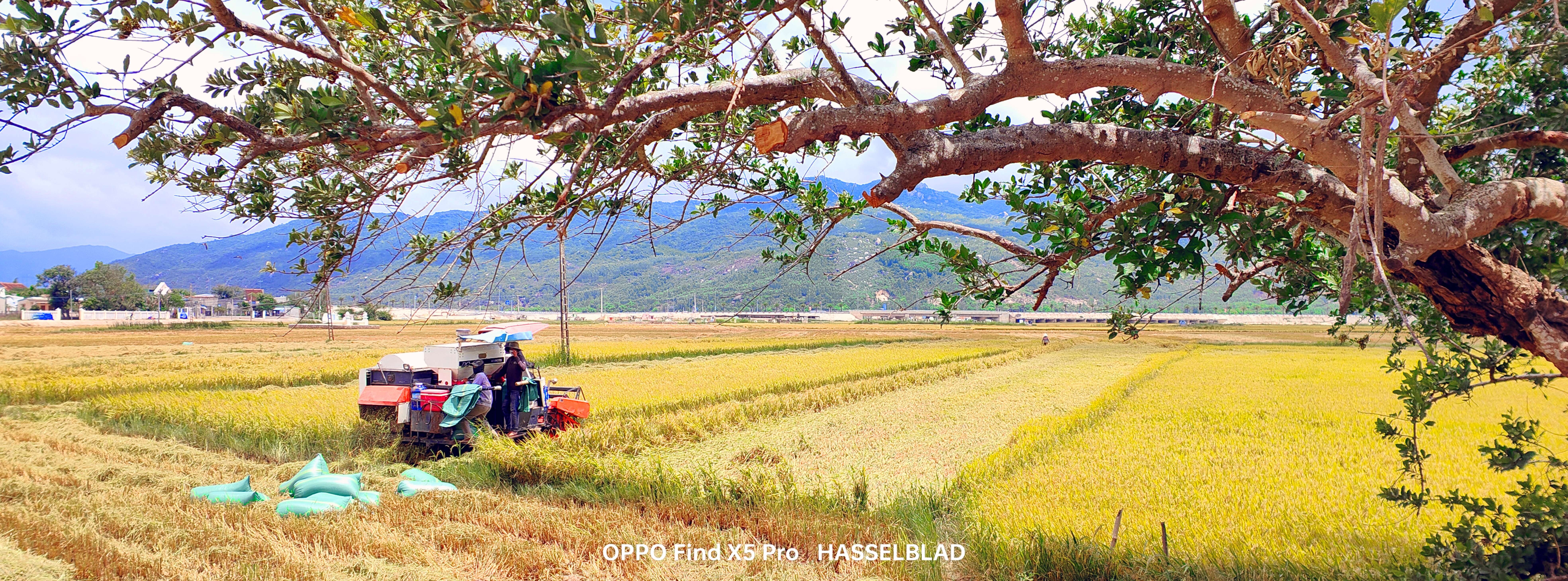 Oppo, Find X5 Pro ảnh 5 Oppo, Find X5 Pro anh 5