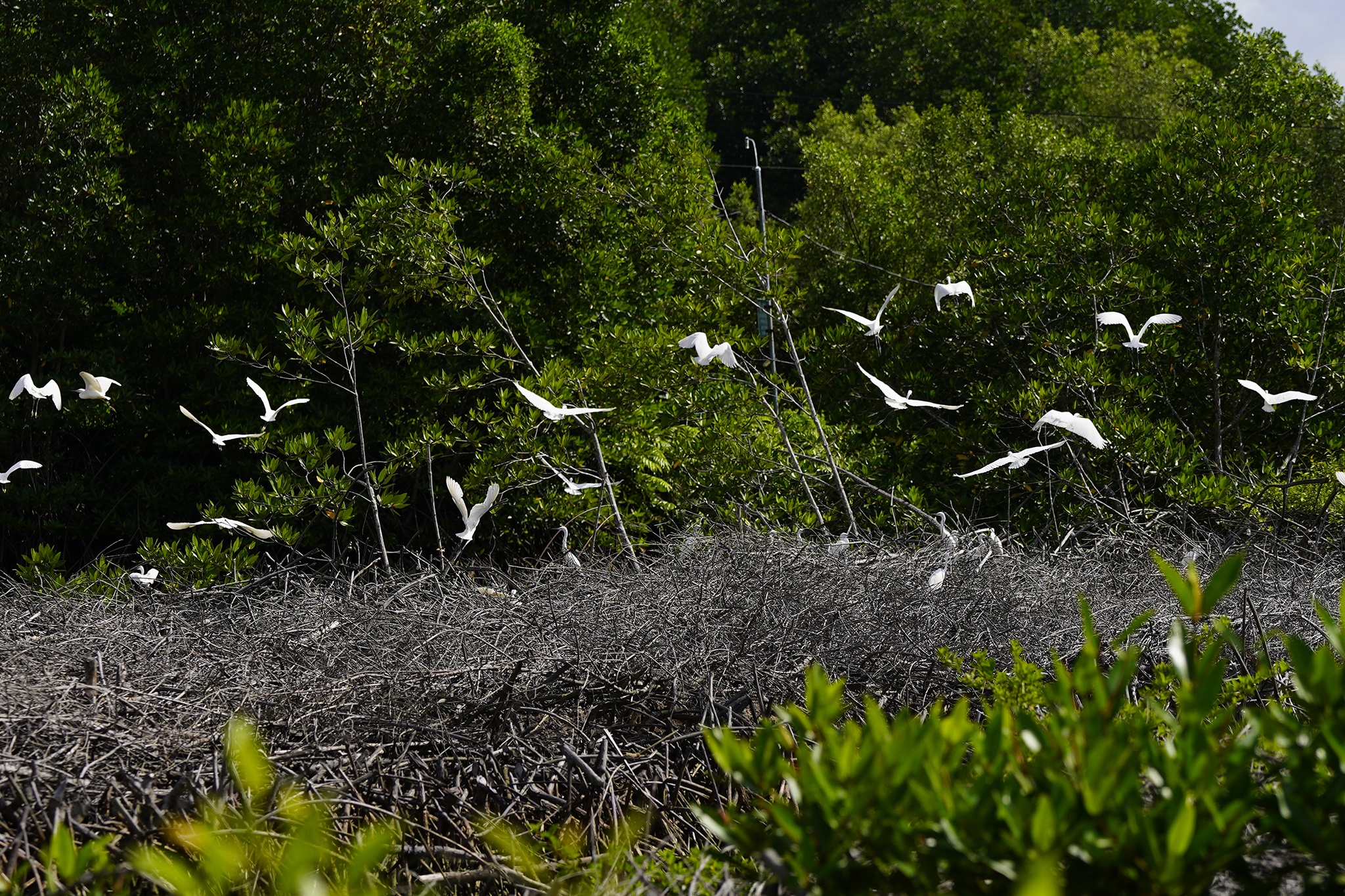 du lich ca mau anh 5