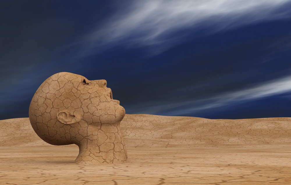 Noi kho vi kho mieng hinh anh