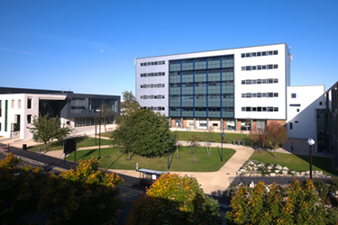 Đại học Sunderland của Anh.