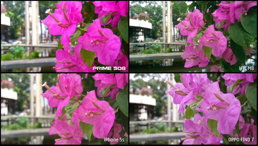 Hình ảnh chụp từ điện thoại của Mobiistar không thua kém nhiều đối thủ khác.