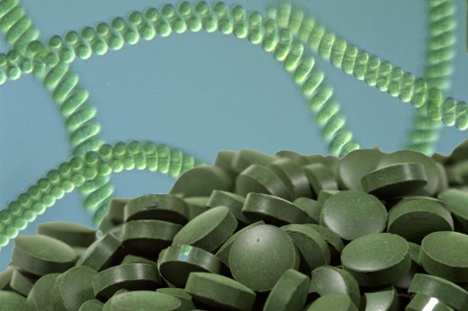 Tang can hieu qua voi Tao Mat Troi hinh anh