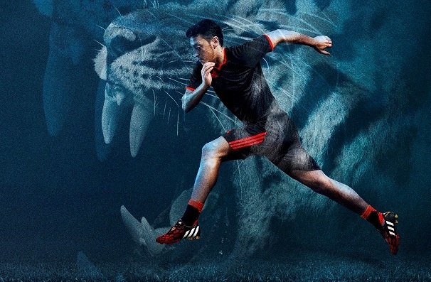 Can canh doi giay danh cho cac danh thu cua adidas hinh anh