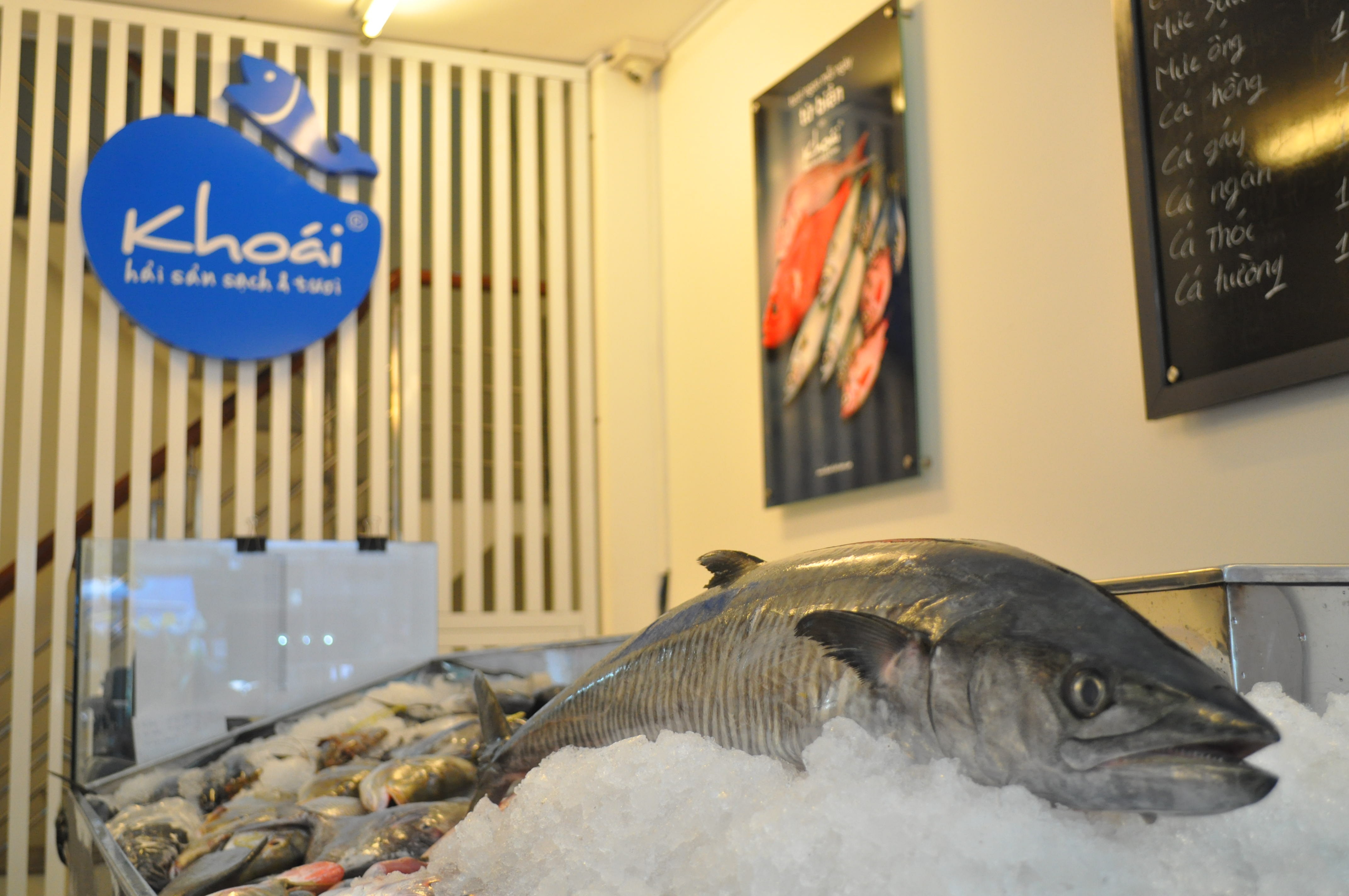 Cach phan biet ca tuoi voi ca tam hoa chat hinh anh