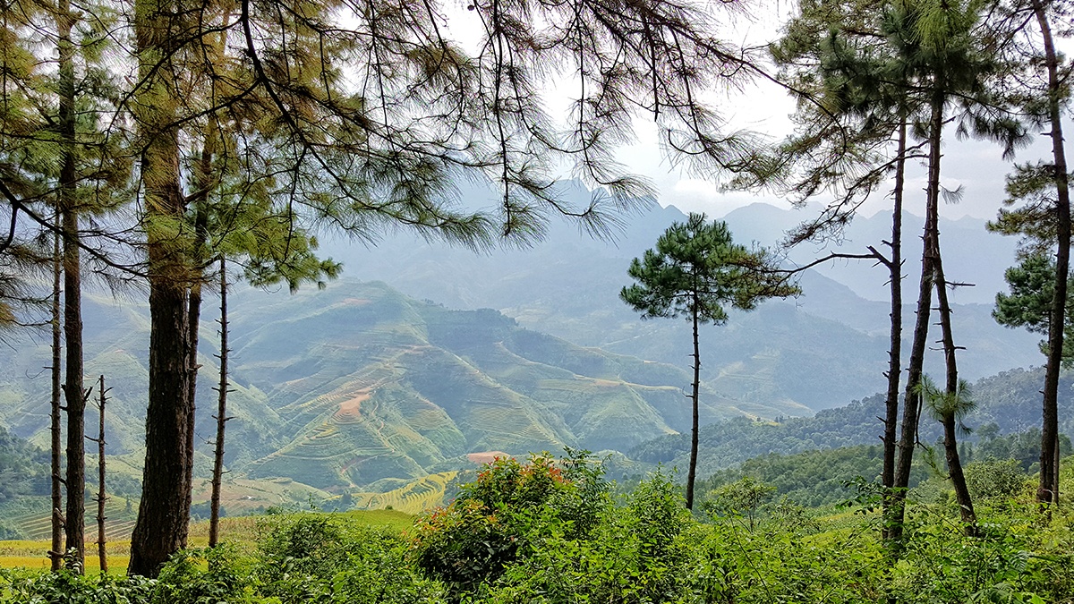 Vào những buổi sớm tinh sương, núi rừng đều khoác lên mình vẻ đẹp tươi trẻ, tràn đầy nhựa sống. Chế độ HDR cho ra bức ảnh lung linh với tông màu mịn màng.