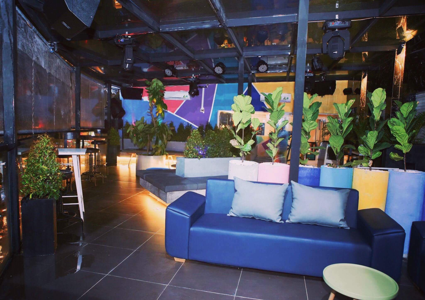 Sinh to cai xoan anh 8