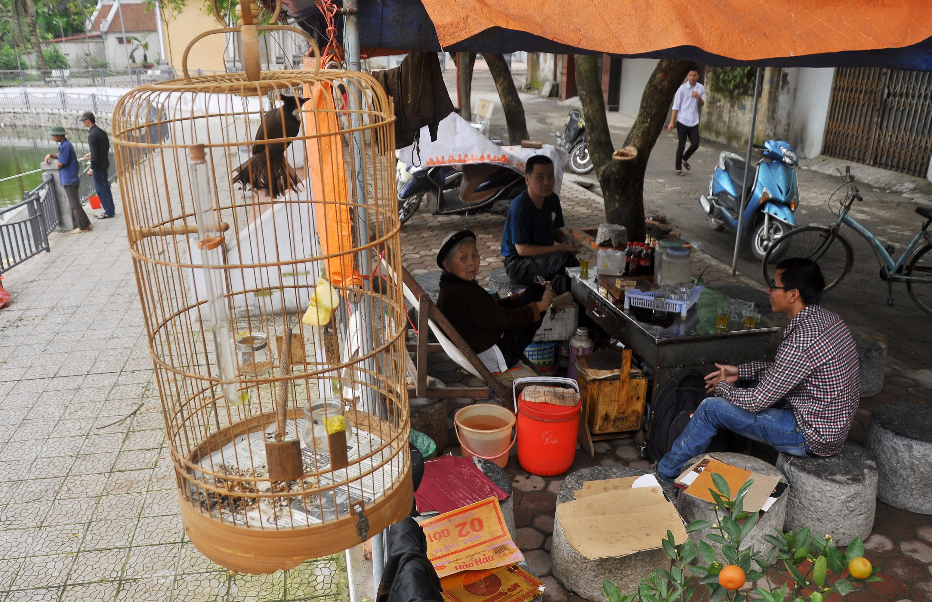 Bà Cao Lệ Vân, tổ trưởng tổ 22, cụm 3 phường Phú Gia cho biết: “Thời điểm những năm 90 thế kỷ trước, bà Chính đã đi gom về đặt ở quán trà đá ở ao làng. Từ khi bộ cối đá cổ được đặt trước đình làng, nhiều người từ cụ già đến thanh niên thường xuyên bình luận, kể về chuyện ngày xưa. Mùa hè, mỗi khi mất điện là quán nước của bà Chính lại là nơi tụ họp cả khu phố”.