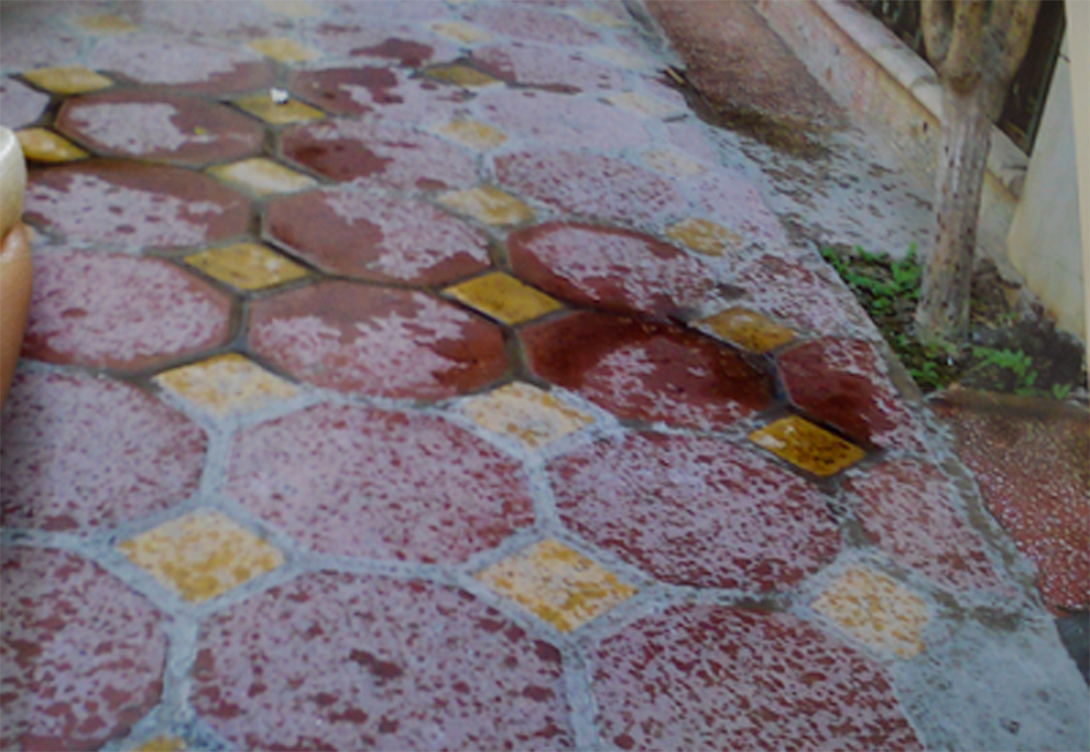 Bà Lộc, vợ ông Trang cho biết, có thể những đối tượng lạ đó là những kẻ xiết nợ tới khủng bố tinh thần. Trong nhà có cô con dâu thứ hai tên Mùng Thị D từng vay một số tiền. Nhưng hiện tại, D và con trai bà Lộc đã ly hôn không còn mối quan hệ gì nữa.