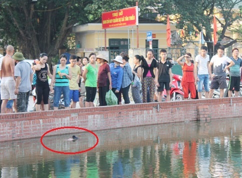 Thi the nguoi phu nu noi tren mat ho hinh anh