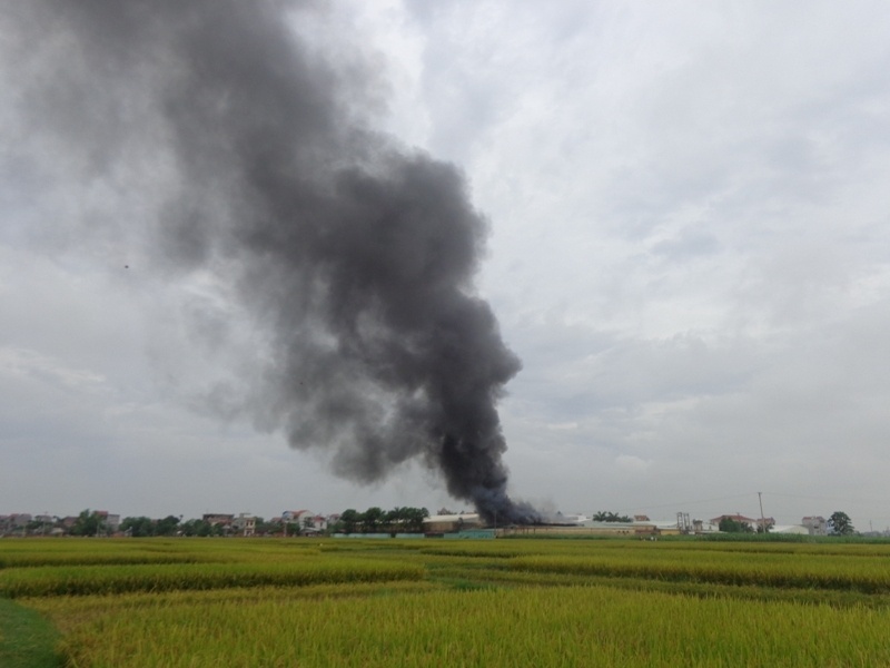 Chay cong ty may o Bac Giang, hon 1.200 nguoi thao chay hinh anh