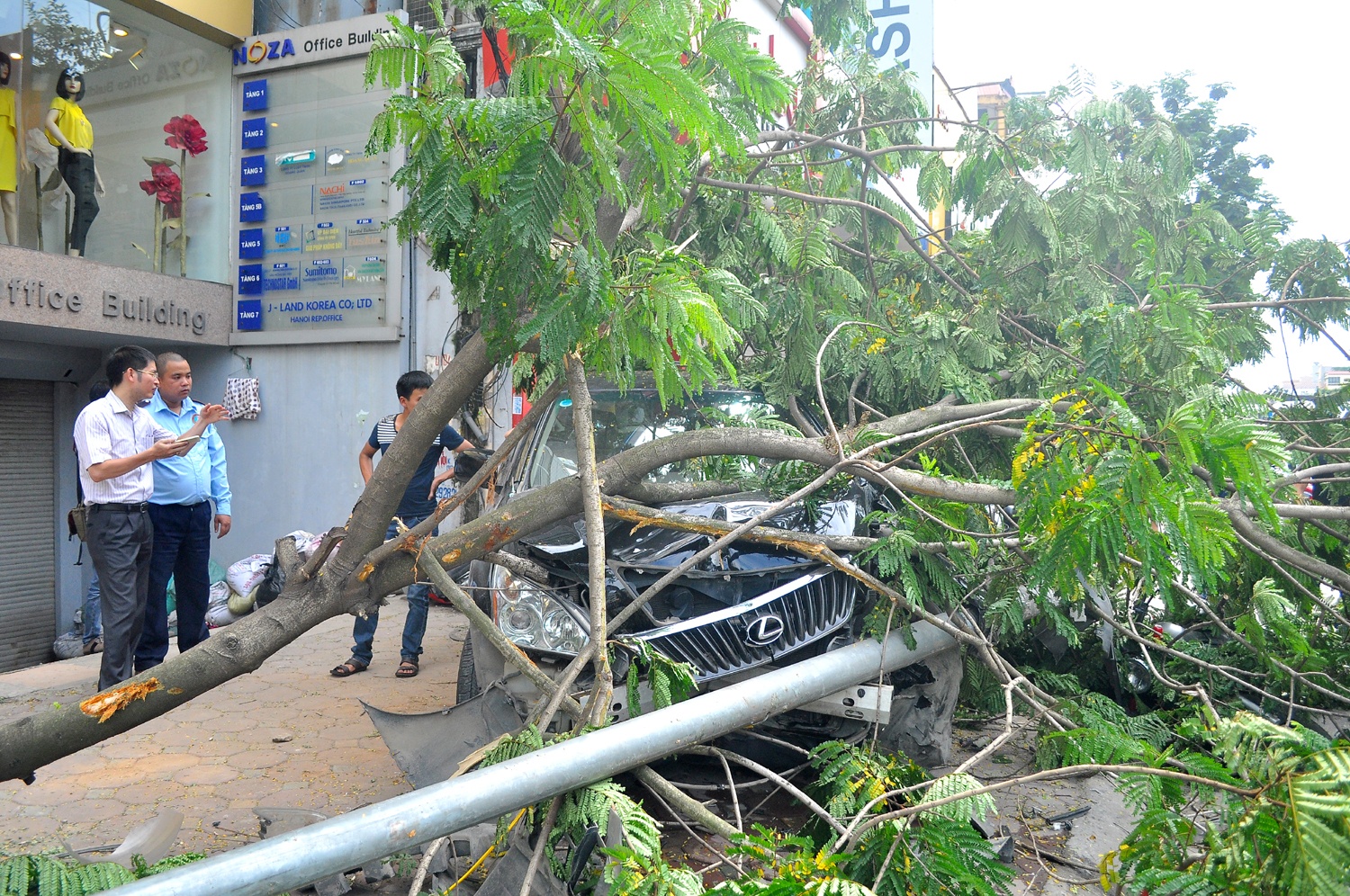 Một nhân chứng cho biết: “Thời điểm trên, một chiếc ô tô màu đen mang biển Hà Nội chạy theo hướng Xuân Thủy – Cầu Giấy di chuyển với tốc độ cao. Khi tới trước số nhà 245 Cầu Giấy thì bất ngờ va chạm với chiếc xe máy mang biển số Quảng Ninh đi cùng chiều. Chiếc ô tô màu đen tiếp tục mất lái húc đổ cột đèn đè lên một cây phượng gần đó và chỉ chịu dừng lại khi lao vào cửa hàng bán quần áo số 247 Cầu Giấy. Khi người dân chạy ra thì thấy tài xế đã bất tỉnh, mọi người cố gắng đưa tài xế ra khỏi xe và đưa đi cấp cứu”.