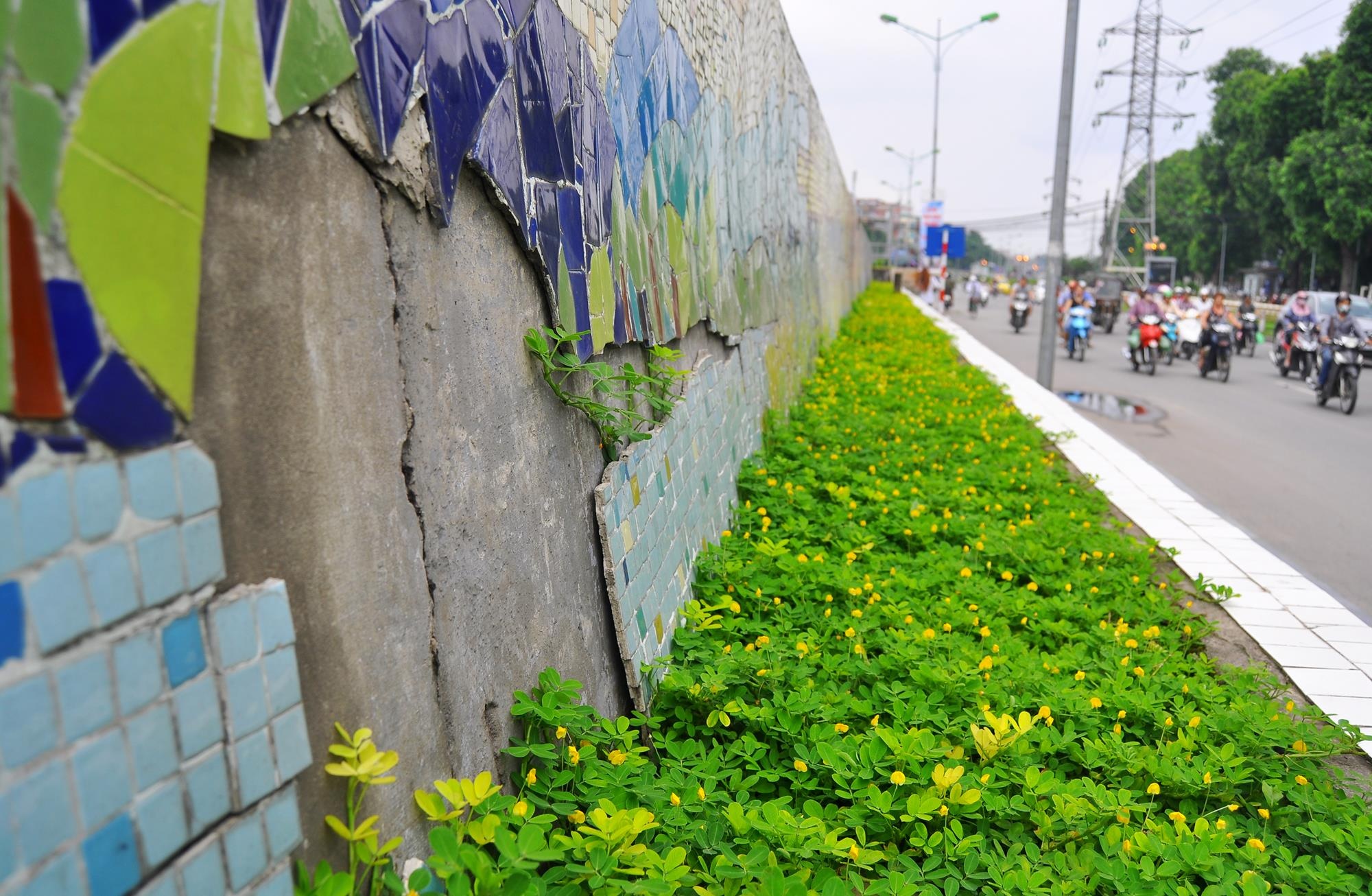 Tuy nhiên, sau 4 năm kể từ ngày hoàn thiện con đường này xuất hiện nhiều vết nứt vỡ, bong tróc khiến tuyến đường trở nên nhếch nhác và gây mất mỹ quan đô thị. Nhiều người dân cho rằng tình trạng này đã xuất hiện từ lâu, đến thời điểm này đang xuống cấp nặng.