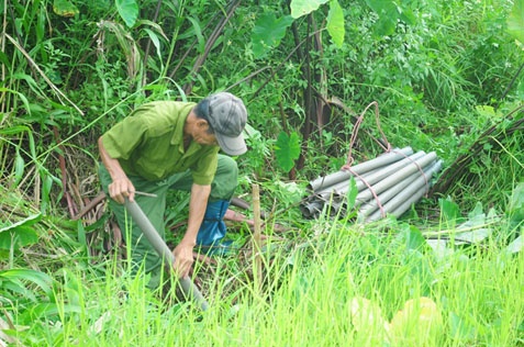 Địa điểm đặt trúm của ông Sáng là những ao chuôm giữa những tòa nhà chung cư của Hà Nội