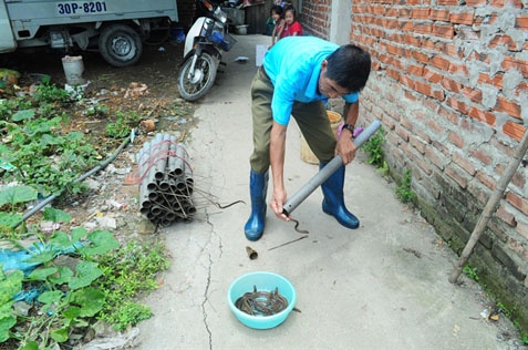 Bat luon giua cac cao oc o Ha Noi hinh anh