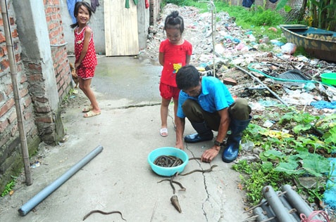 Những đứa cháu của ông Sáng thích thú xem ông đổ lươn