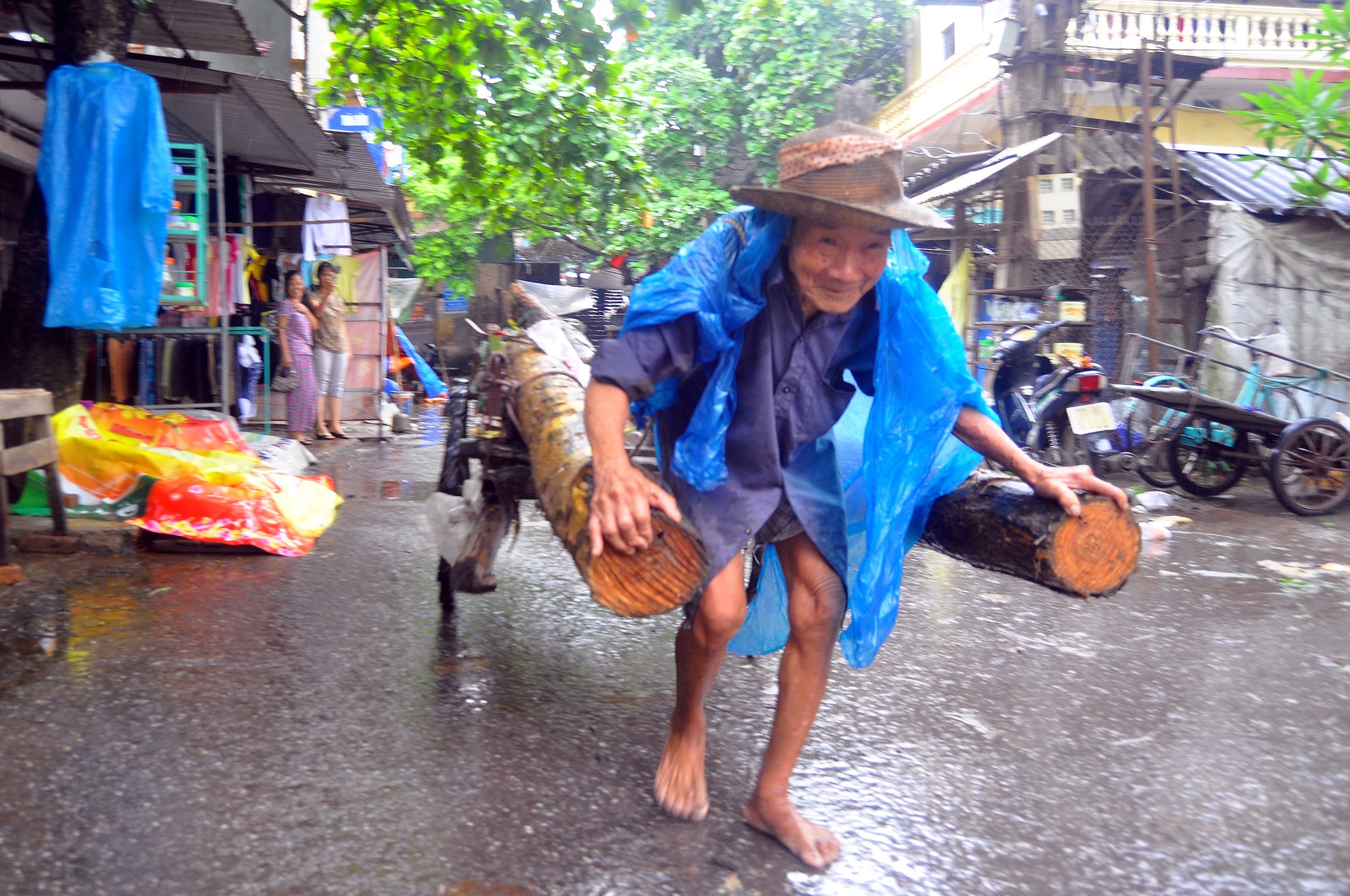 Ông Sâm, tên đầy đủ là Lê Văn Sâm (87 tuổi), trú ở làng Chuông, xã Phương Trung (Thanh Oai, Hà Nội) được mệnh danh là vua cây ở làng quê có nghề làm nón.