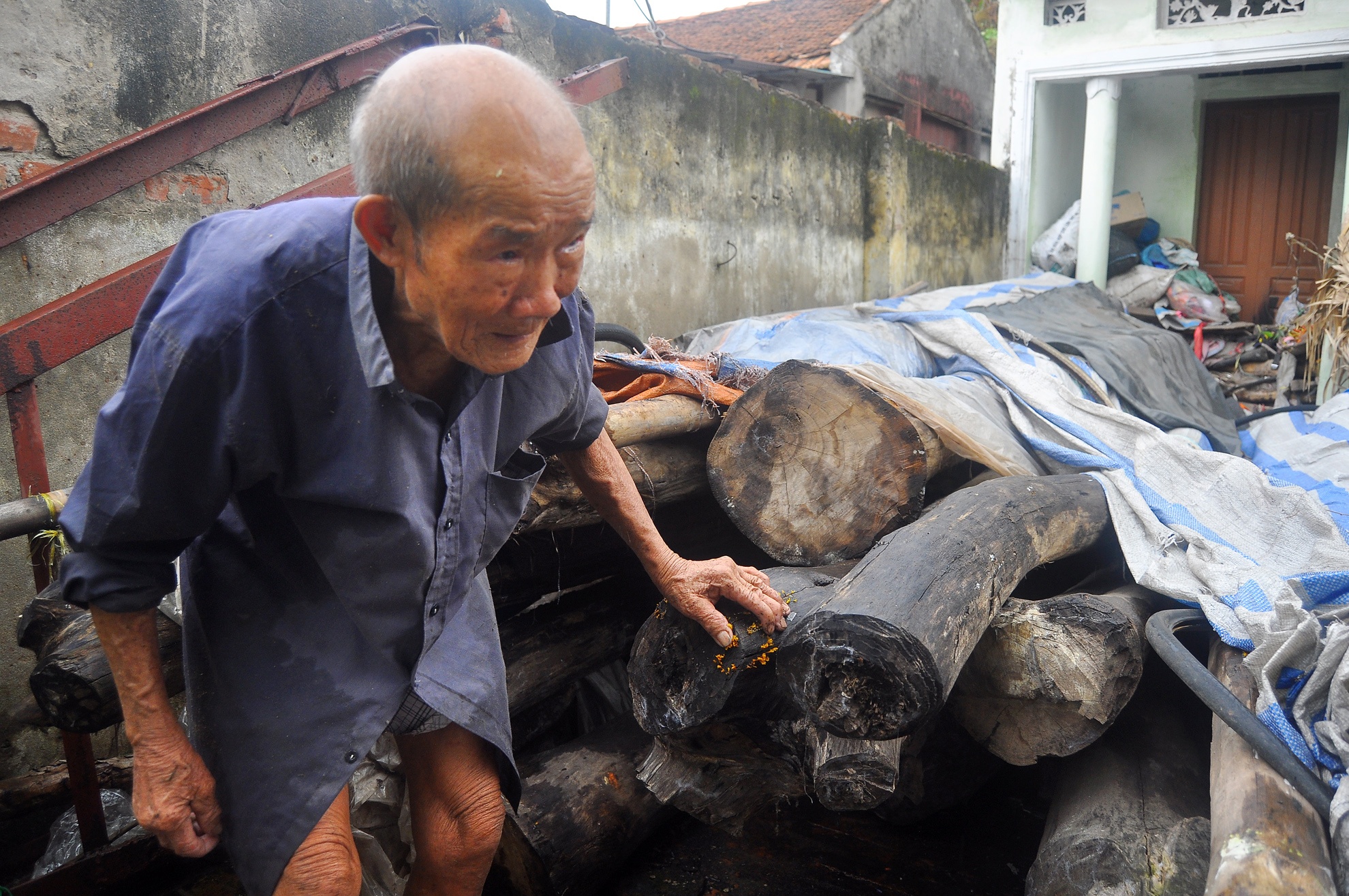 Trước đây, thời buổi còn nghèo khó, việc chặt gỗ, bán củi cũng kiếm được ra tiền nuôi sống gia đình. Ngày nào ông ấy cũng đi hỏi xem nhà ai có thân gỗ lớn bán để mua. Sau đó, ông tự trèo bằng tay, vác dao lên chặt và tự kéo xe bò về. Cành thì bán củi, thân thì bán gỗ cho người có nhu cầu. “Đến nay đã khao thọ đến 3 lần nhưng ông ấy vẫn xách dao, kéo xe đi chặt gỗ”, bà Đỗ nhớ lại.