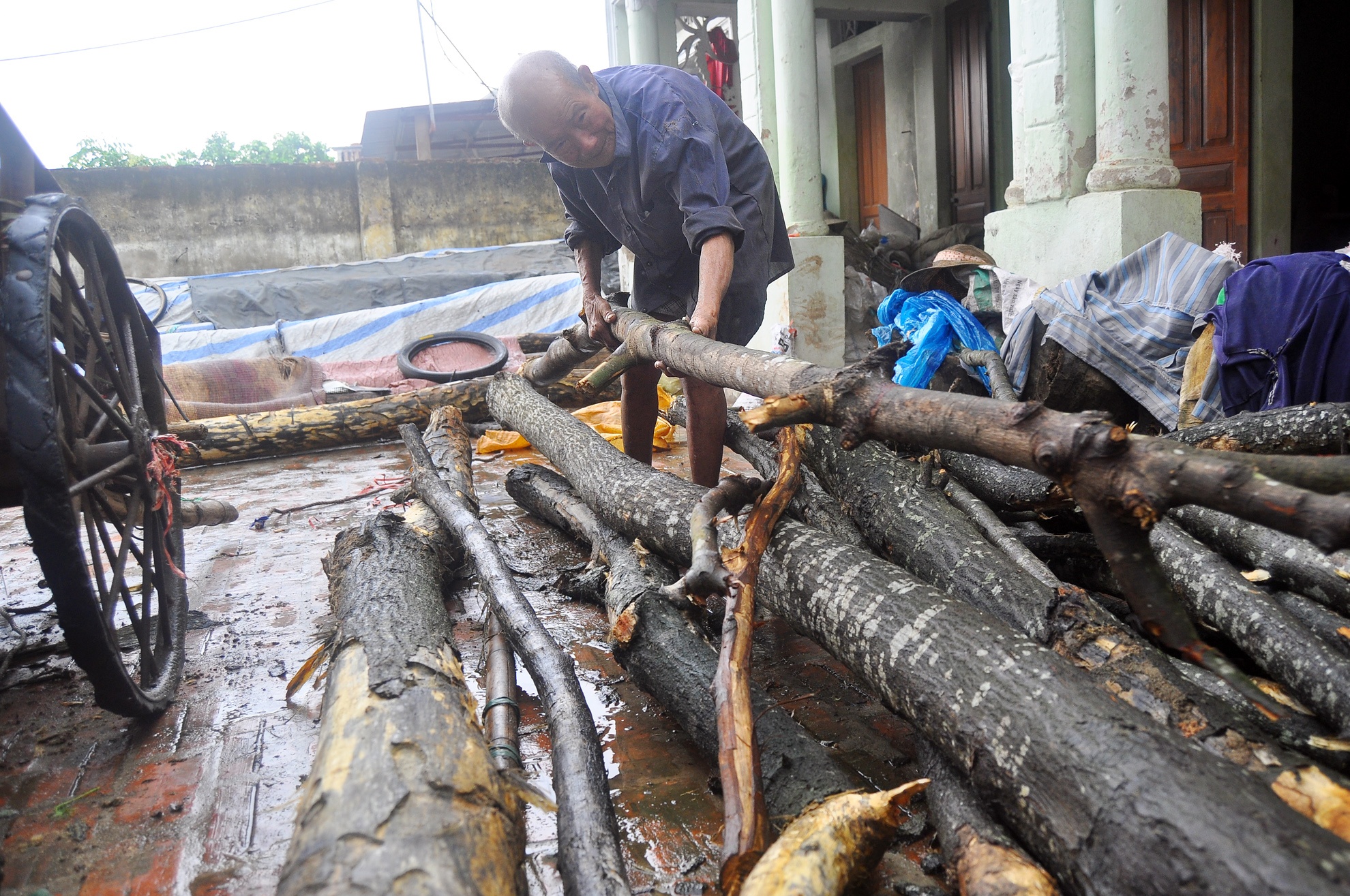 Chứng kiến ông nội đã tuổi cao nhưng vẫn mải miết đi làm, anh Hải (32 tuổi), cháu nội của cụ Sâm cho hay, gia đình tất cả từ các bác, chú đến các cháu đều khuyên ngăn cụ ở nhà nghỉ ngơi nhưng cụ chịu ở nhà. 