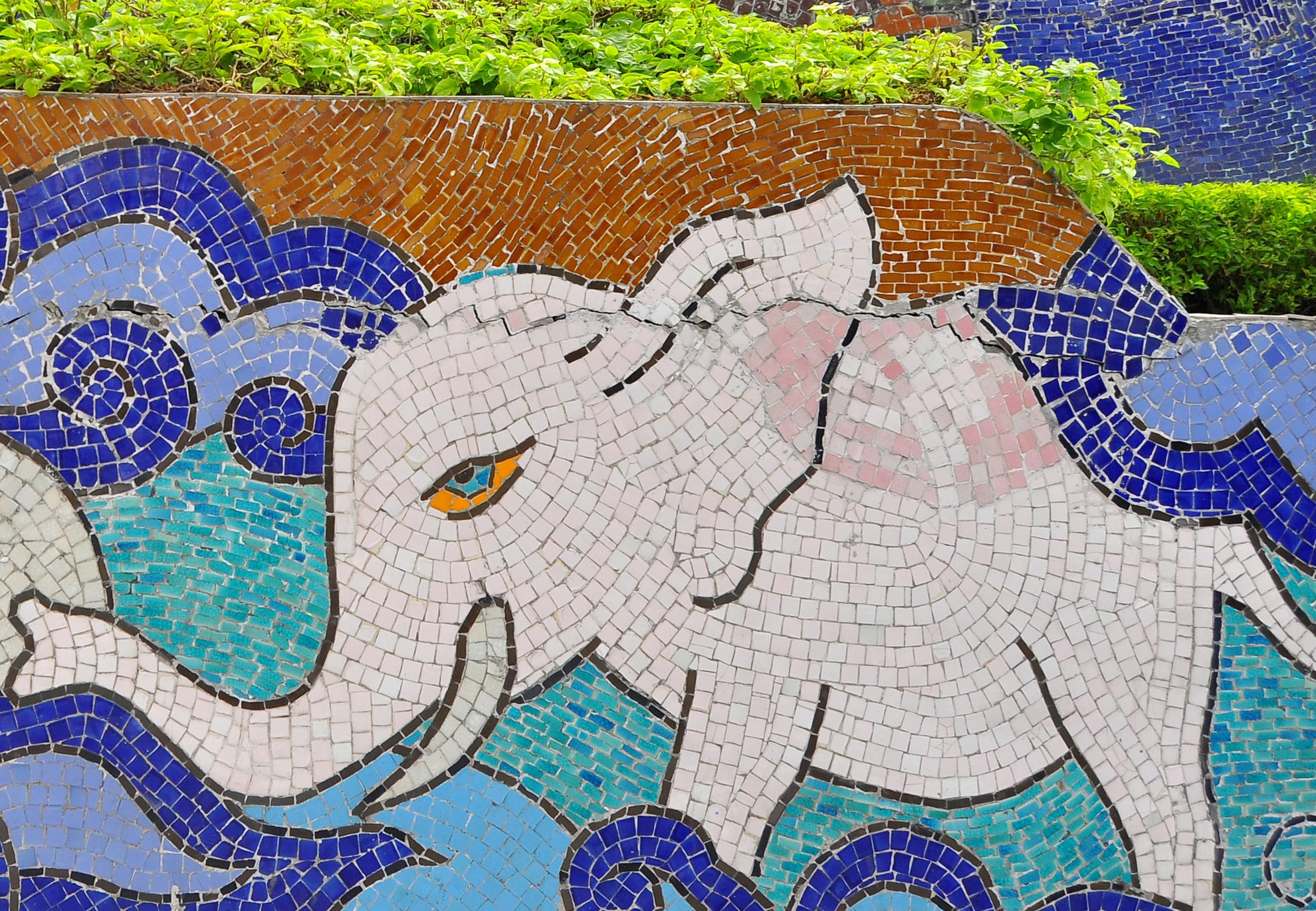 Vit sat khong ngan duoc buc tranh ky luc Guinness nut, vo hinh anh